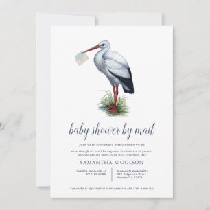 Stork Baby Shower By Mail Invitation