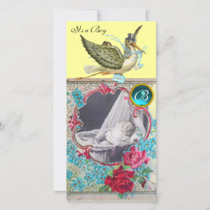 STORK BABY SHOWER MONOGRAM ,aquamarine Announcement