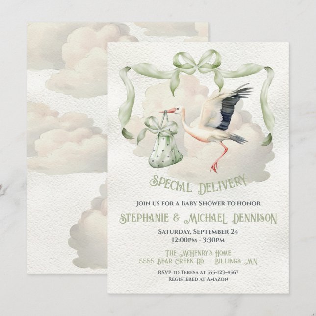 Stork Baby Shower Ribbon Bow Special Delivery Invitation (Front/Back)