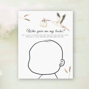 Stork baby shower - Who gave me my looks