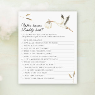 Stork baby shower Who knows daddy best game