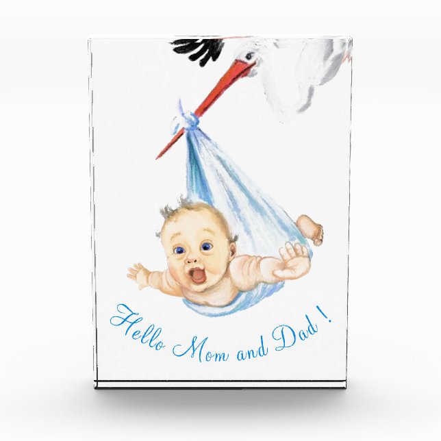 Stork Carrying Baby Photo Block - Custom Text (Front)