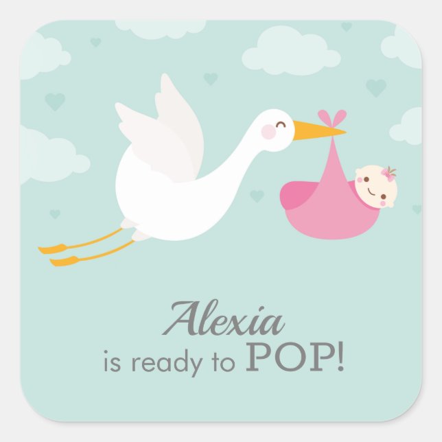 Stork Clouds Girl Bundle Baby Shower Square Sticker (Front)