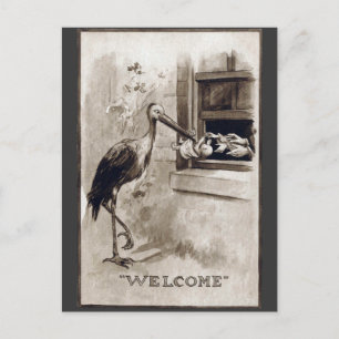 Stork Delivering Baby Vintage Postcard