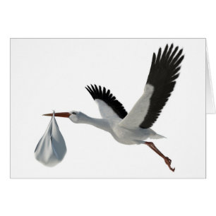 Stork Delivering Bundle