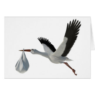 Stork Delivering Bundle