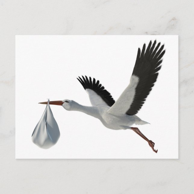 Stork Delivering Bundle Postcard (Front)