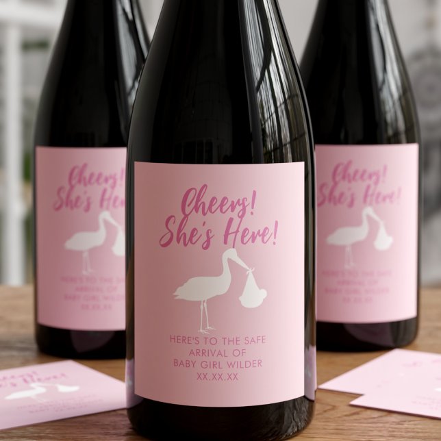 Stork Delivery Cheers Baby Girl Wine Labels (Cheers! She's Here! Celebrate your little princess with these wine labels. Just add your text)