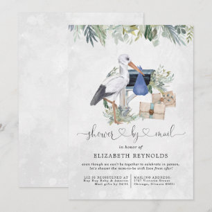 Stork Delivery   Virtual Baby Shower by Mail Invitation