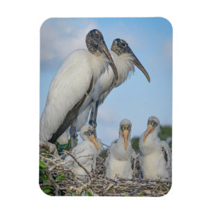 "Stork Family" Magnet