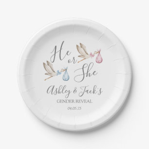 Stork Gender Reveal Welcome Sign Paper Plate