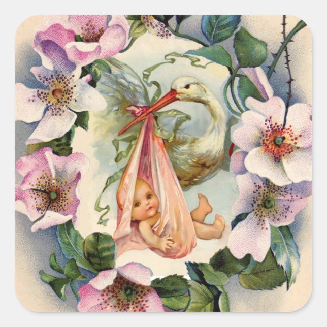 STORK GIRL BABY SHOWER CROWN WITH PINK WILD ROSES SQUARE STICKER (Front)