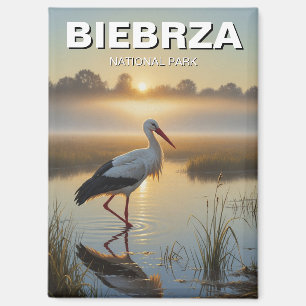 Stork in Biebrza National Park Poland Travel Magnet