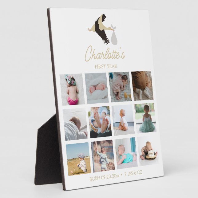 Stork Newborn Baby's First Year Photos Birth Stats Plaque (Side)