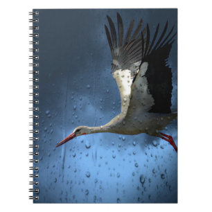 Stork Notebook