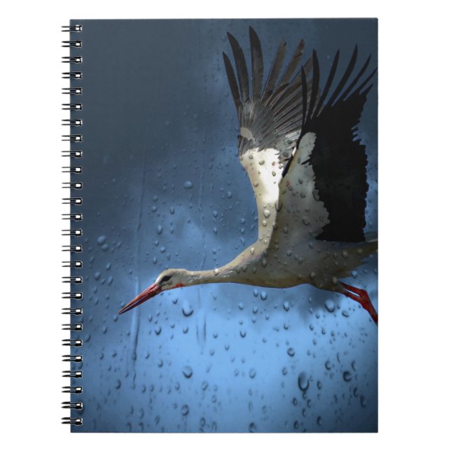 Stork Notebook (Front)
