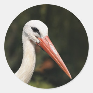 Stork - symbol of Strasbourg and Alsace, France Classic Round Sticker