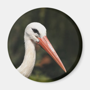 Stork - symbol of Strasbourg and Alsace, France Magnet