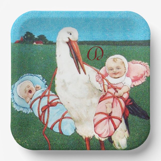 STORK TWIN BABY SHOWER MONOGRAM PAPER PLATE (Front)
