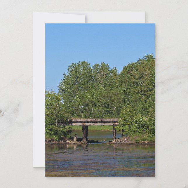 Stork Under a Bridge (Front)