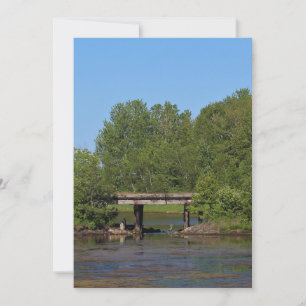 Stork Under a Bridge