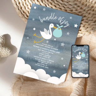 Stork With Blue Bundle Stars Baby Shower Invitation