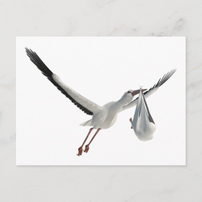 Stork with Bundle on White Postcard (Front)