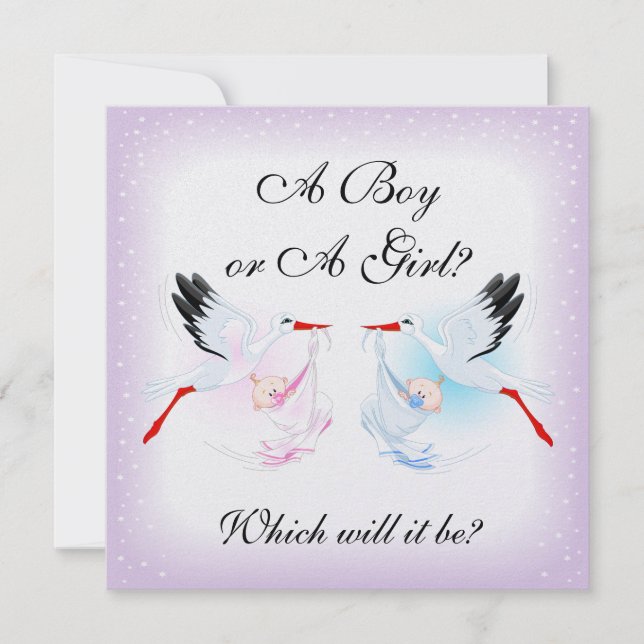 Storks and Babies Baby Gender Reveal Party Invit Invitation (Front)