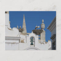 storks build nests on the church in the old town