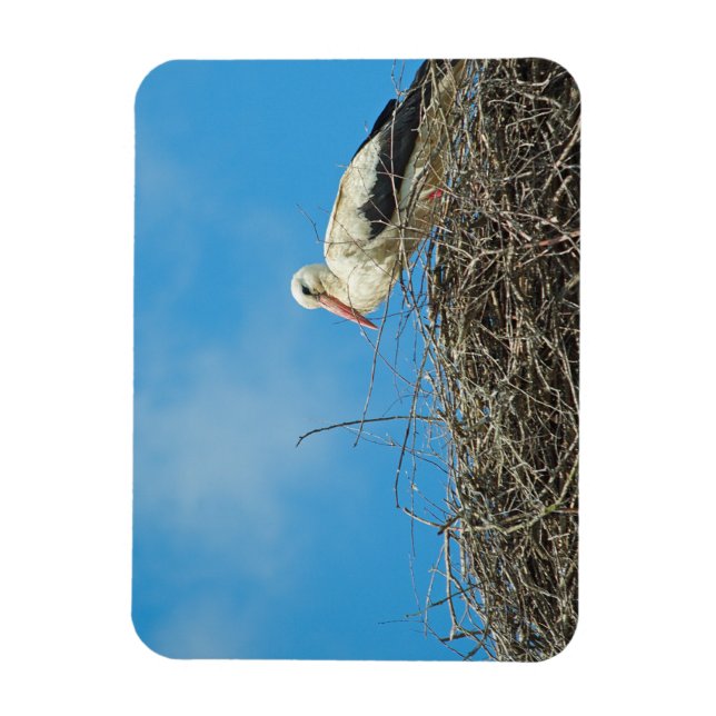 Stork's Nest Magnet (Vertical)