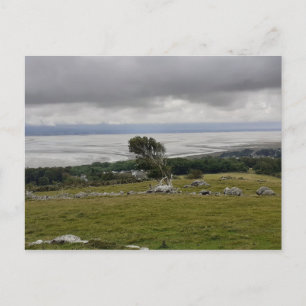 Storm Across The Bay Postcard