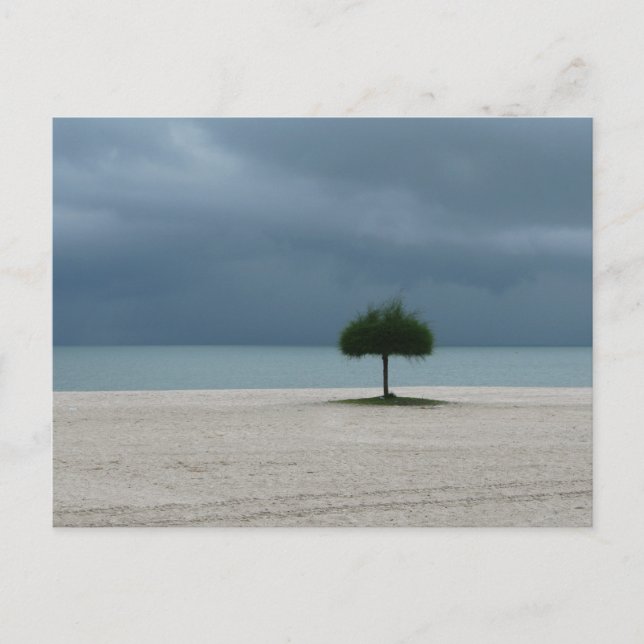 Storm Brewing Postcard (Front)