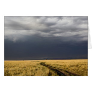 Storm clouds and road across gassy plains of the