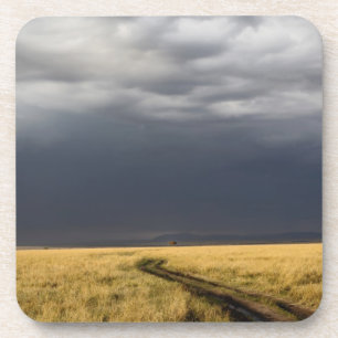 Storm clouds and road across gassy plains of the coaster