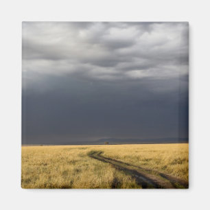 Storm clouds and road across gassy plains of the magnet