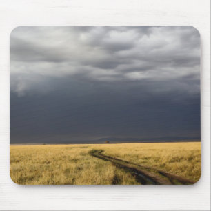 Storm clouds and road across gassy plains of the mouse pad