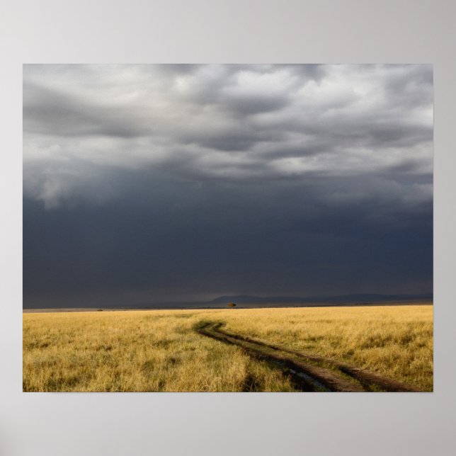 Storm clouds and road across gassy plains of the poster (Front)