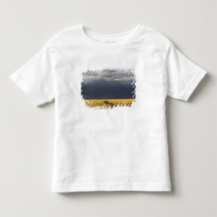 Storm clouds and road across gassy plains of the toddler T-Shirt