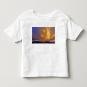 Storm Clouds in the Centennial Range in Montana Toddler T-Shirt