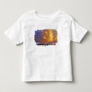 Storm Clouds in the Centennial Range in Montana Toddler T-Shirt