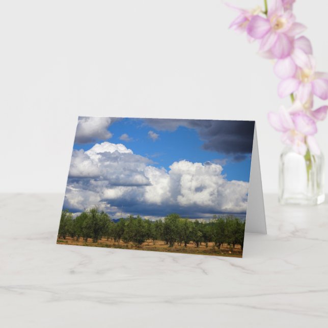 Storm Clouds over Spanish Olive Grove Card (Orchid)