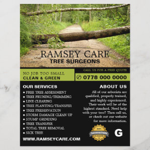 Storm Damage - Tree Surgeon - Arborist Flyer
