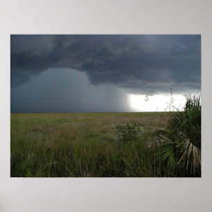 Storm Over the Everglades Poster
