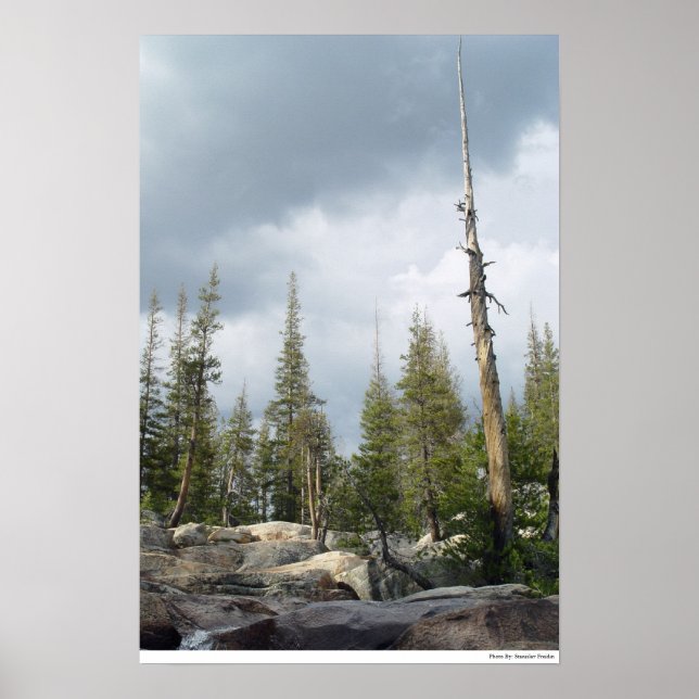 Storm Spire Poster (Front)