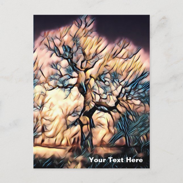 Storm Tree Holiday Postcard (Front)