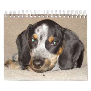 Stormi 2012 calendar