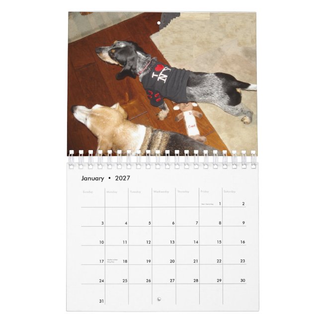 Stormi 2012 calendar (Jan 2027)