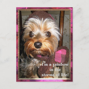 Storms of Life Postcard