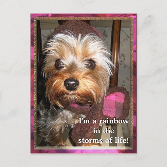 Storms of Life Postcard (Front)