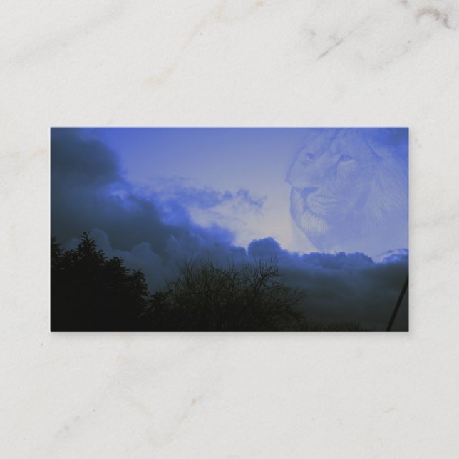 storms roar business card (Front)